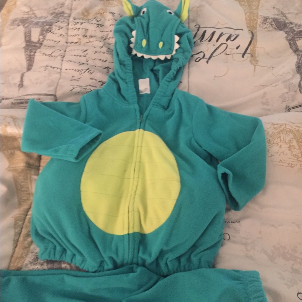 Dinosaur/dragon costume 24m
